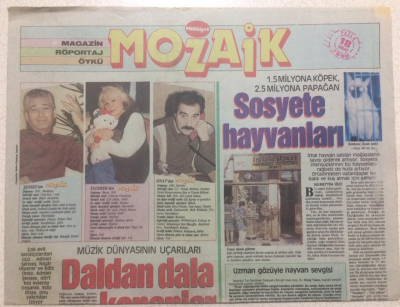Milliyet Gazetesi Mozaik Eki 18 Şubat 1990 - Müzik Dünyasını Uçarıları Daldan Dala Konanlar GZ23111 - 1