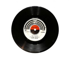 Hayri Şahin - Kırk Yılda Bir Sevmiştim / Aşk Yemini PLAK (10/7.5) PLK24540 - Gökçekoleksiyon