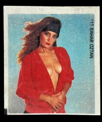 MİNTİ Sakız Kağıdı No 113 Bahar Öztan Stickers SKZ880 - 3