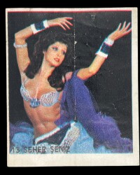 MİNTİ Sakız Kağıdı No 13 Seher Şeniz Stickers SKZ896 - 3