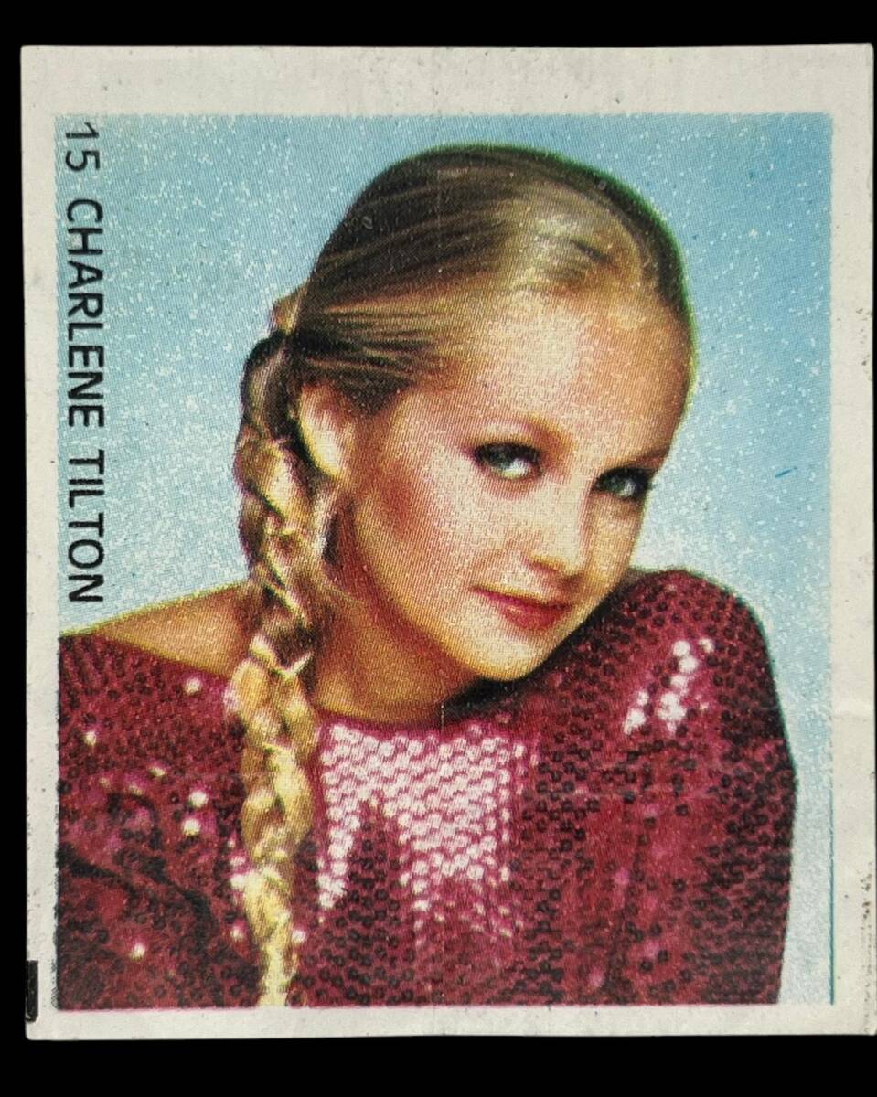 MİNTİ Sakız Kağıdı No 15 Charlee Tılton Stickers SKZ891 - 3