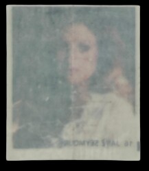 MİNTİ Sakız Kağıdı No 16 Jane Seymour Stickers SKZ895 - 2