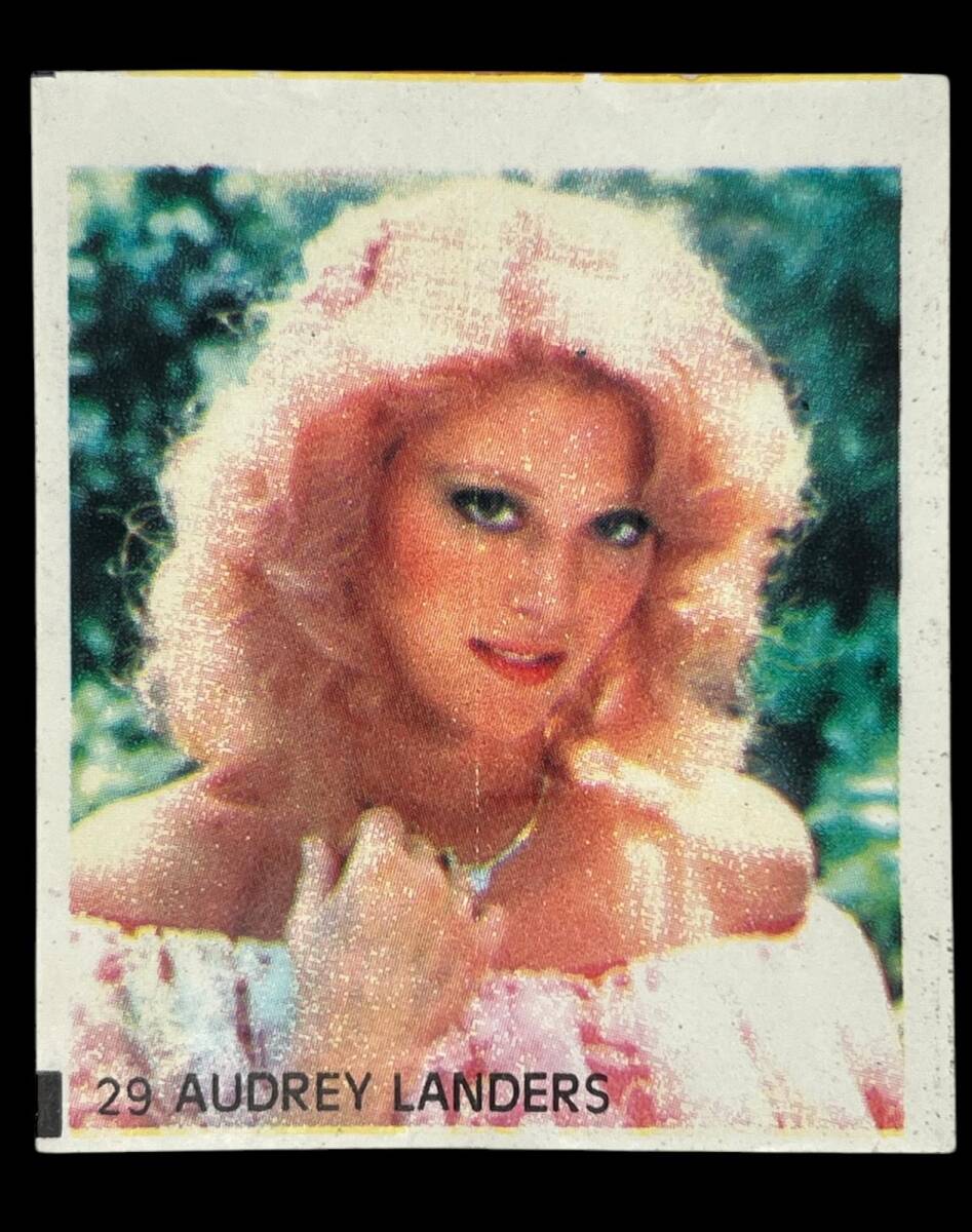 MİNTİ Sakız Kağıdı No 29 Audrey Landers Stickers SKZ904 - 1