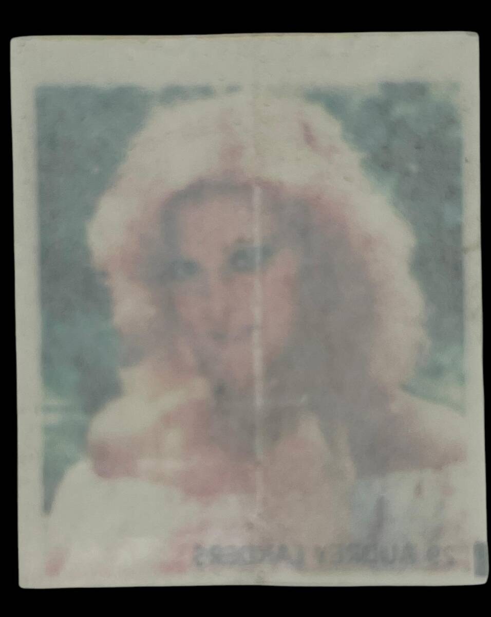 MİNTİ Sakız Kağıdı No 29 Audrey Landers Stickers SKZ904 - 2