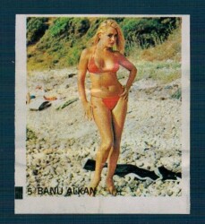 MİNTİ Sakız Kağıdı No 5 Banu Alkan Stickers SKZ2314 - Gökçekoleksiyon