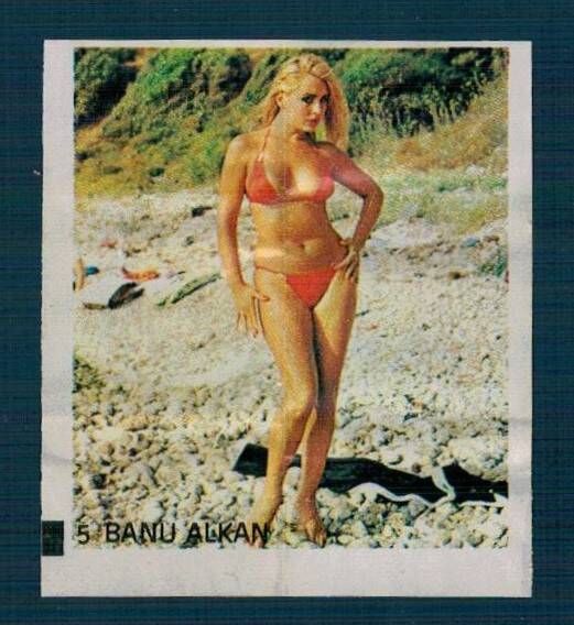 MİNTİ Sakız Kağıdı No 5 Banu Alkan Stickers SKZ2314 - 3