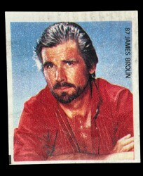 MİNTİ Sakız Kağıdı No 87 James Brolin Stickers SKZ864 - 1