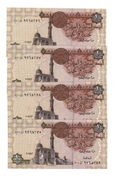 Mısır Yabancı Kağıt Para Lotu (4 Adet) ÇİL YKP8435 - 2