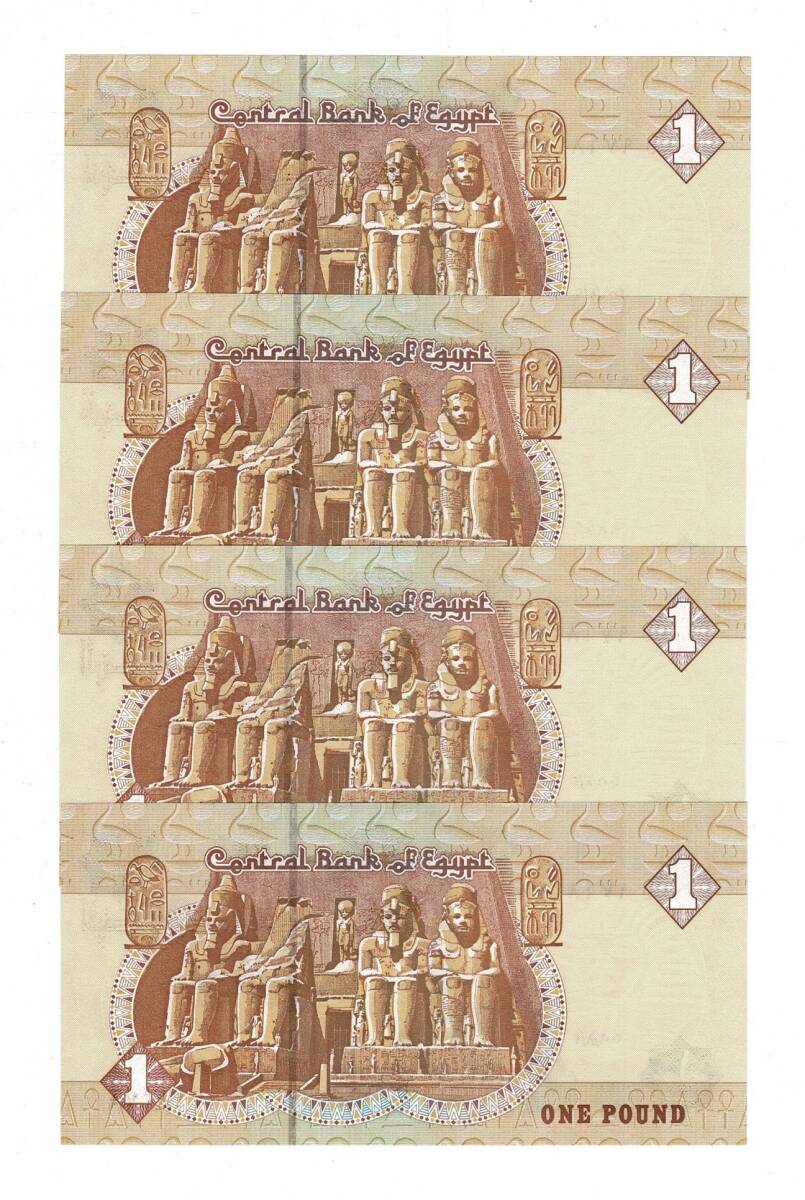 Mısır Yabancı Kağıt Para Lotu (4 Adet) ÇİL YKP8435 - 3