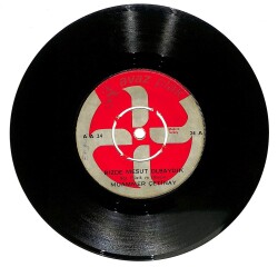 Muammer Çetinay - Bizde Mesut Olsaydık Bana Neler Vadettin Plak (108) PLK19667 - 1
