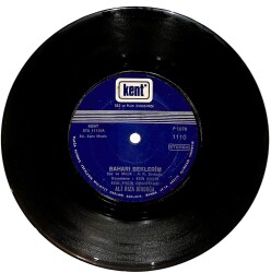 Ali Rıza Binboğa - Baharı Beklerim / İlk Öğretmen Plak (10/6.5) PLK25242 - Gökçekoleksiyon