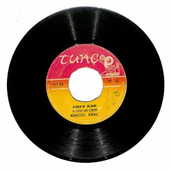 Mübeccel Ardalı - Ayran Ayranın Devamı Plak (106.5) PLK19769 - 2