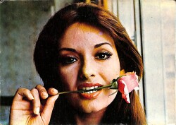 Müjde Ar Kartpostal (Küçük Boy) KRT22340 - Gökçekoleksiyon