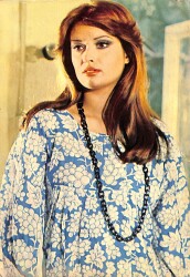 Müjde Ar Kartpostal (Küçük Boy) KRT22558 - Gökçekoleksiyon