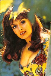 Müjde Ar Kartpostal (Küçük Boy) KRT22573 - Gökçekoleksiyon