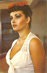 Müjde Ar Kartpostal (Küçük Boy) KRT22728 - Gökçekoleksiyon