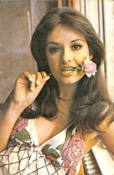 Müjde Ar Kartpostal (Küçük Boy) KRT23150 - Gökçekoleksiyon