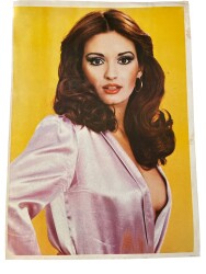 Müjde Ar Kartpostal (Ultra Dev Boy) KRT24028 - Gökçekoleksiyon