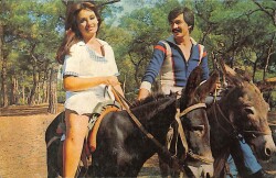 Müjde Ar-Mahmut Cevher Kartpostal KRT8223 - Gökçekoleksiyon