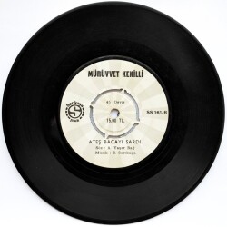 Mürüvvet Kekilli - Postacı (107.5) PLK7090 - 2