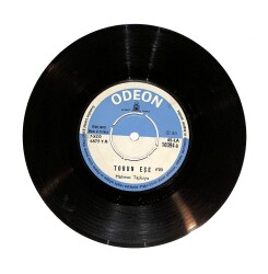 Mahmut Taşkaya - Torun Eşe / Erkeğimi Alan Almanya (10/7) PLK24279 - Gökçekoleksiyon