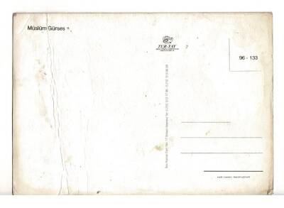 Müslüm Gürses Kartpostal KRT1254 - 2