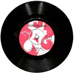 Selahattin Cesur - Perişan / Aşk Delisi PLAK (10/5.5) PLK24774 - Gökçekoleksiyon