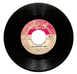 Şükran Ay - Özlemedin mi Beni / Kırdın Beni Sözlerinle PLAK (10/5.5) PLK24729 - Gökçekoleksiyon