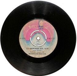 Mihrican Bahar Çemberimde Gül Oya / Toprak Olunca PLAK (10/5.5) PLK24742 - Gökçekoleksiyon