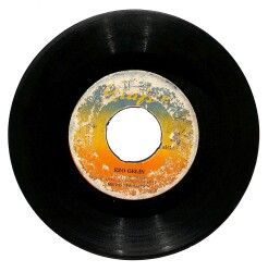 Muzaffer Akgün - Al Yeşil Dökün Anneler / Ezo Gelin PLAK (10/5.5) PLK24732 - Gökçekoleksiyon