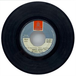 Muzaffer Akgün - Sensiz Hayat (107) PLK10971 - 1