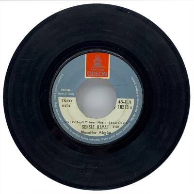 Muzaffer Akgün - Sensiz Hayat (107) PLK10971 - 1