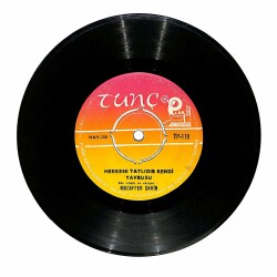 Muzaffer Şahin - Gurbet Bana Mezar Oldu / Herkese Tatlıdır Kendi Yavrusu Plak (10/6.5) PLK21664 - 2
