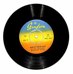 Müzeyyen Senar - Berduş Değilim Ben / Dereler Çağlar Oldu PLAK (10/8.5) PLK19584 - 2
