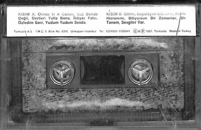 Nalan Altınörs - Özledim Seni Kaset (Türküola Kaset - İkinci El Kaset) KST24732 - 2
