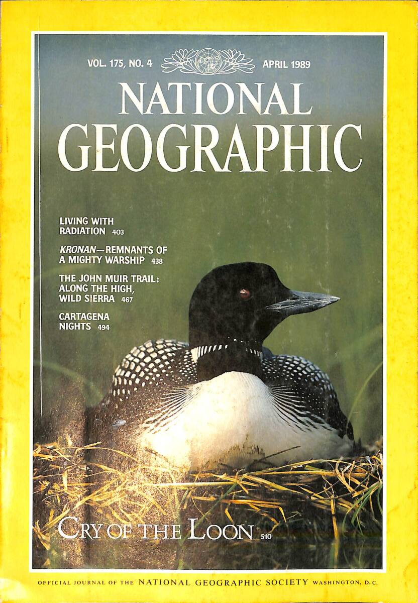 National Geographic – April 1989 – Vol.175 - No.4 – Cry of the Loon – Kronan Remnants of A Mighty Warship – The John Muır Trail: Along The High Wild NDR100755 - 1
