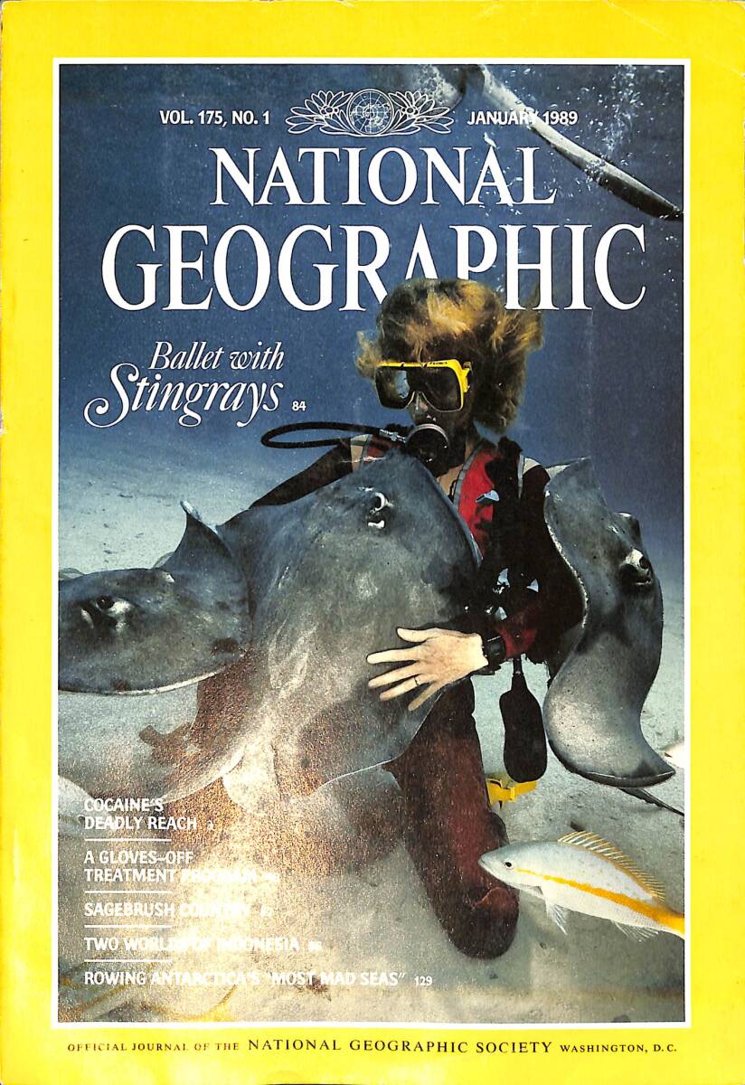 National Geographic – January 1989 – Vol.175 - No.1 – Ballet With Stingrays – Two Worlds of Indonesia – Rowing Antartica's Most Mad Seas NDR100759 - 1