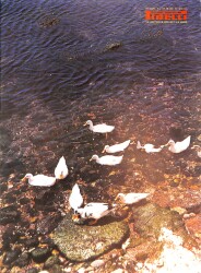 Pirelli Aylık Mecmua Sayı 198 - Mart 1981 - Greta Garbo - Hülya Koçyiğit NDR88074 - Gökçekoleksiyon