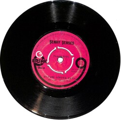 Şenay Şenses - Sürünüyorum / Hatamı Göster Bana PLAK (10/6) PLK24831 - Gökçekoleksiyon