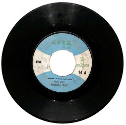 Halit Çakır Nizamettin Bilgili - (Giresun) Aksu Sallaması / Eminem Karşılaması Plak (10/5.5) PLK25045 - Gökçekoleksiyon