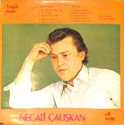 Necati Çalışkan - İçimdeki Yaralar LP PLAK (10/7.5) PLK26514 - 2