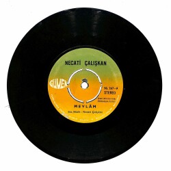 Necati Çalışkan - Mevlam / Dünya Bir Dikenli Hayat PLAK (10/7) PLK19454 - 1