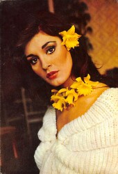 Necla Nazır Kartpostal (Küçük Boy) KRT21703 - Gökçekoleksiyon