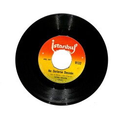 Fatma Müjgan - Ne Derlerse Desinler / Ben Kendime Yar Buldum PLAK (10/7.5) PLK25749 - Gökçekoleksiyon