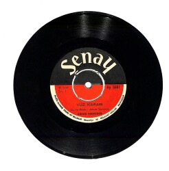 Adnan Varveren - Yüz Karası / Vefasız Sevgilim PLAK (10/7.5) PLK23967 - Gökçekoleksiyon