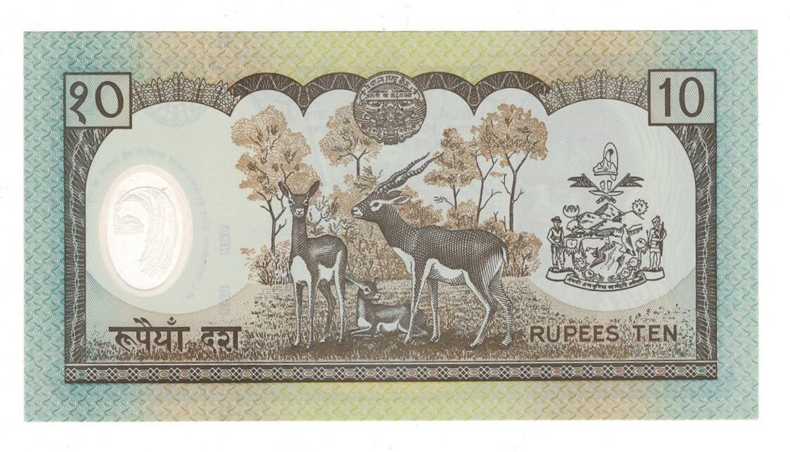 Nepal 10 Rupee 1985 - 2001 Polimer ÇİL YKP8455 - 2
