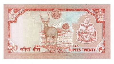 Nepal 20 Rupi 1982-87 ÇİL YKP4455 - 2