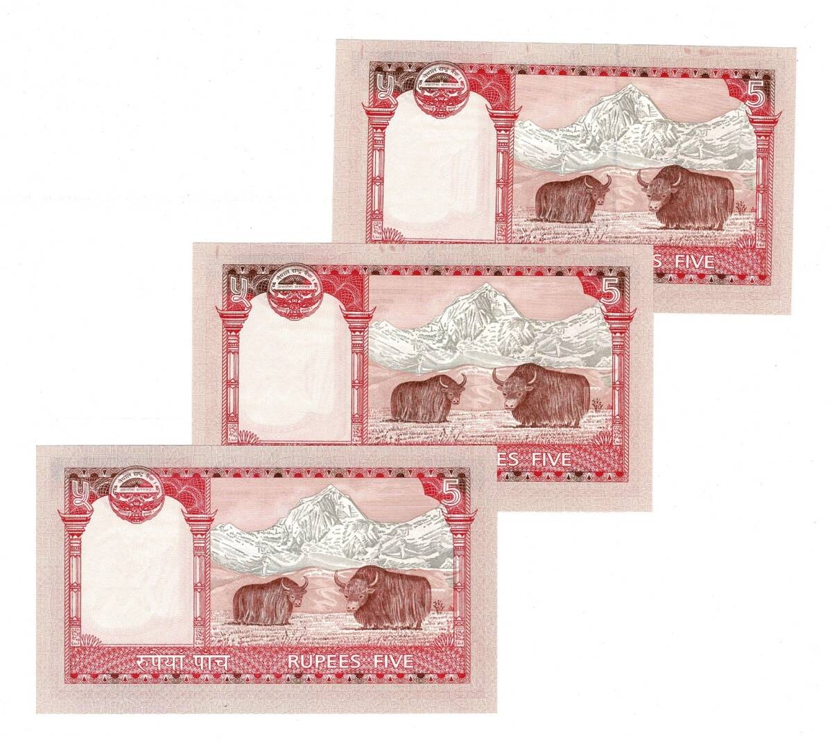 Nepal 5 Rupi 2010 (3 Adet) - ÇİL YKP8793 - 2