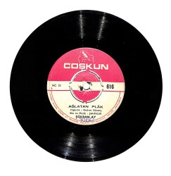 Şükran Ay - Ağlatan Plâk / Gözümden Öpme Beni PLAK (10/8) PLK23929 - Gökçekoleksiyon