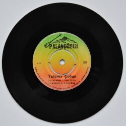 Nermin Erdem - Yalancı Çoban (Y)PLK3135 - 1
